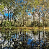 Review photo of Lake Griffin State Park Campground by Damon , December 30, 2021