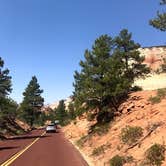 Review photo of Zion RV and Campground (Hi-Road) by amber N., December 30, 2021