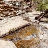 Review photo of Covered Wagon Resort by GoWhereYouAreDraw N., December 30, 2021