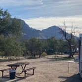 Review photo of Catalina State Park Campground by Monte W., December 30, 2021