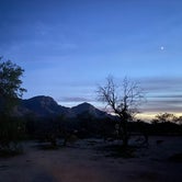 Review photo of Catalina State Park Campground by Monte W., December 30, 2021