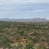 Review photo of Catalina State Park Campground by Monte W., December 30, 2021