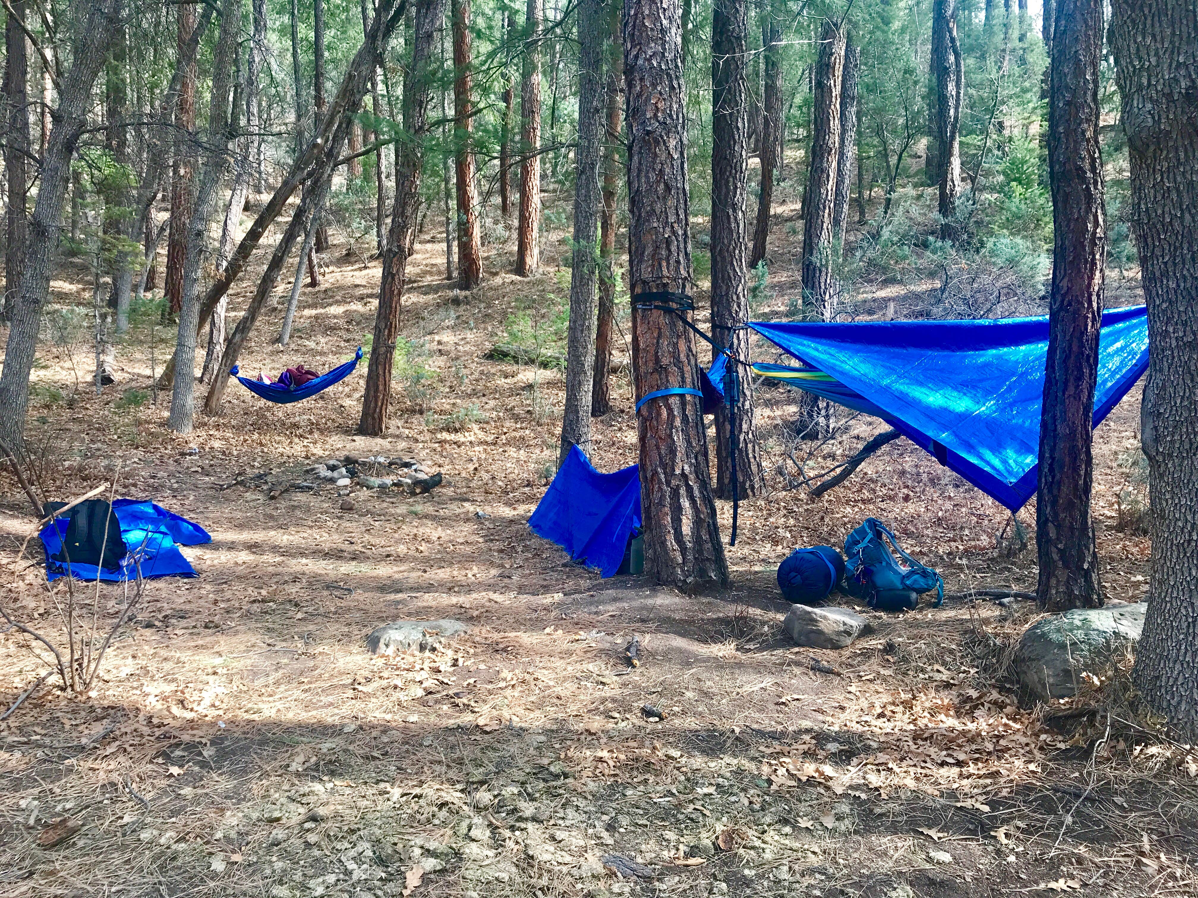Camper submitted image from Payson Campground & RV Resort - 3