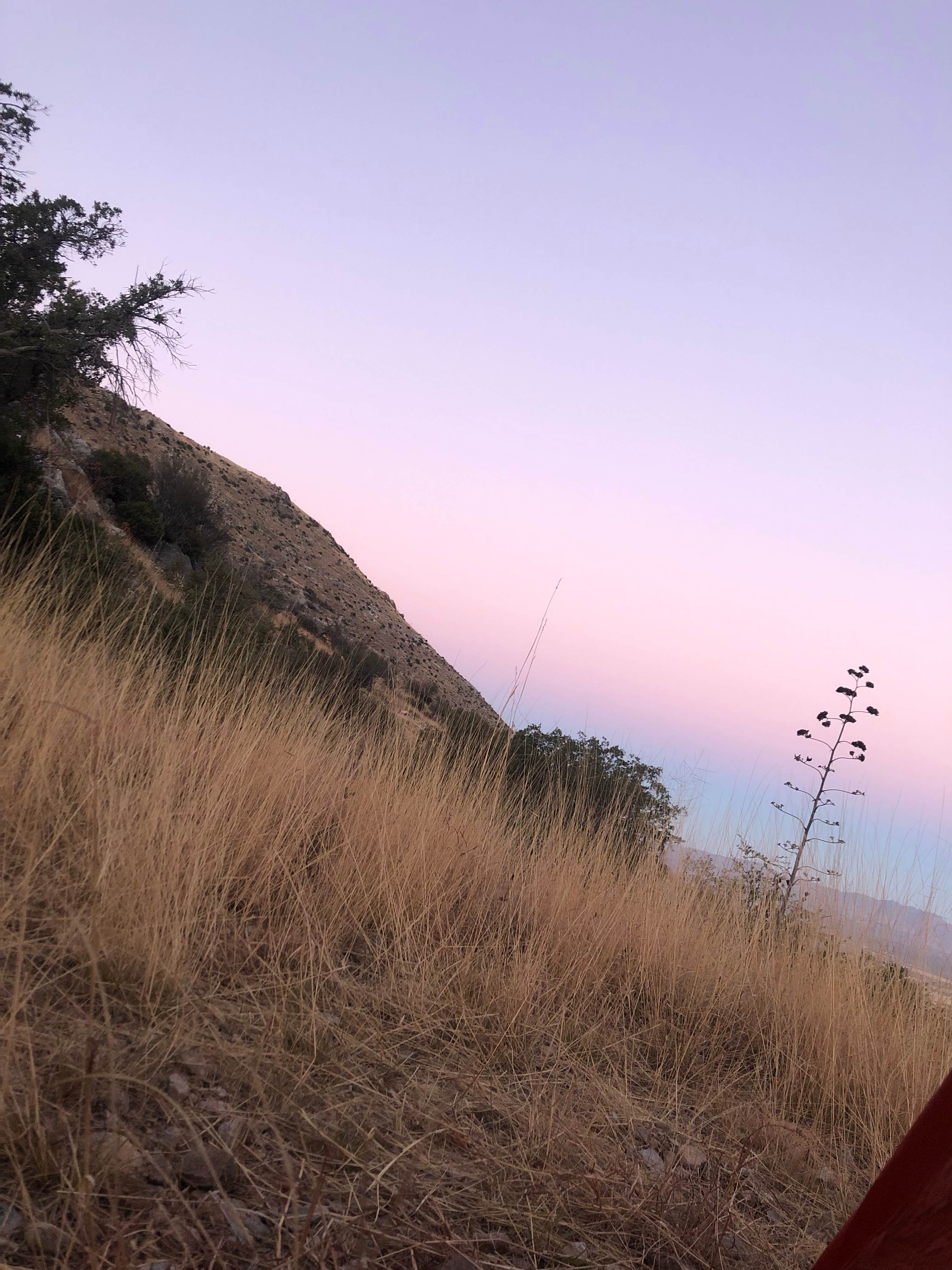 Camper-submitted photo at Ash Canyon Road Dispersed near Hereford, AZ