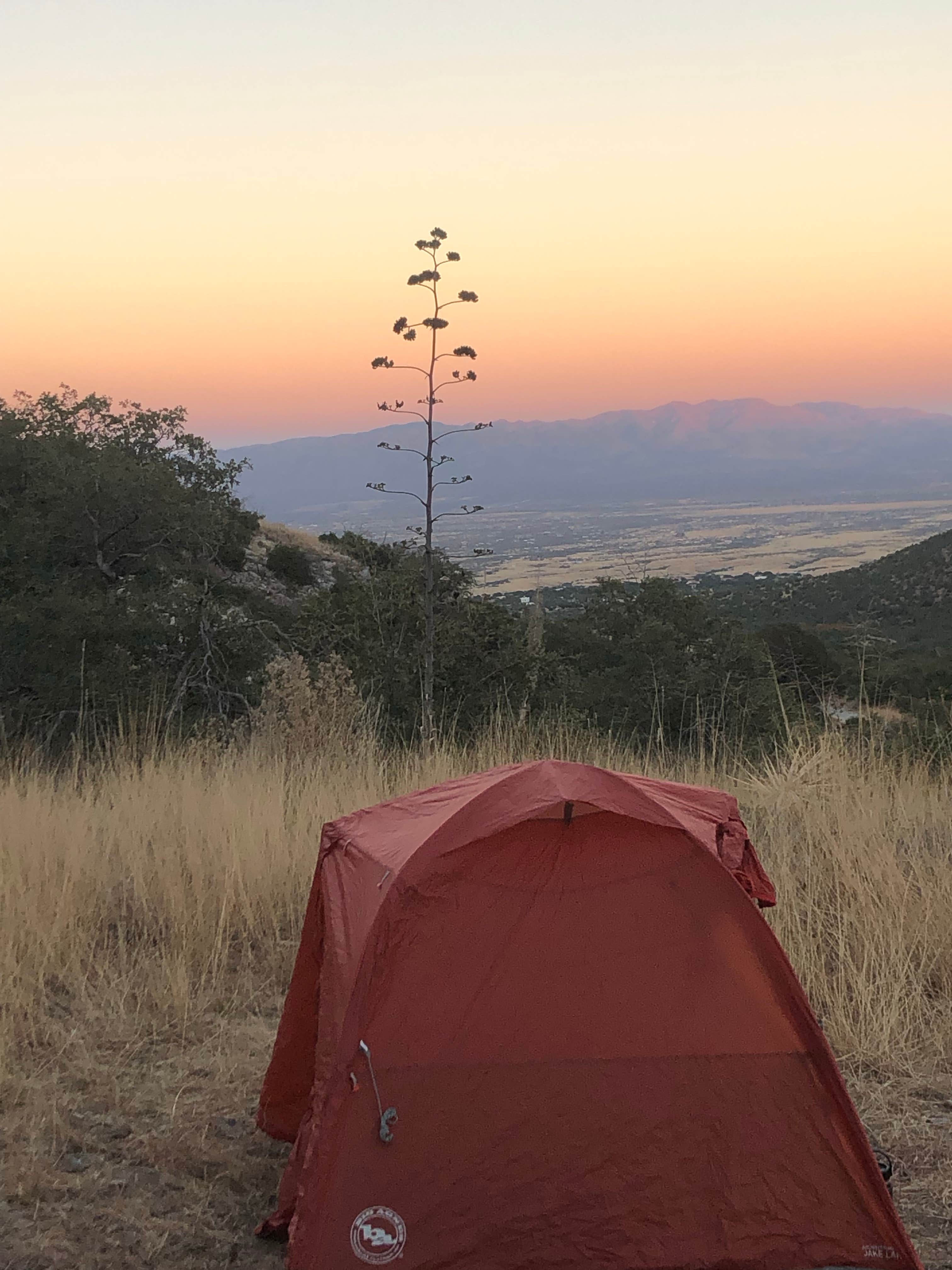 Camper submitted image from Ash Canyon Road Dispersed - 1