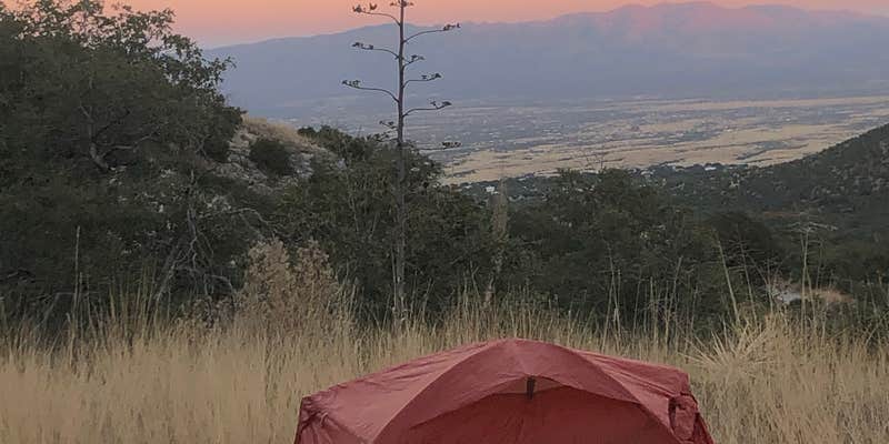 Camper submitted image from Ash Canyon Road Dispersed