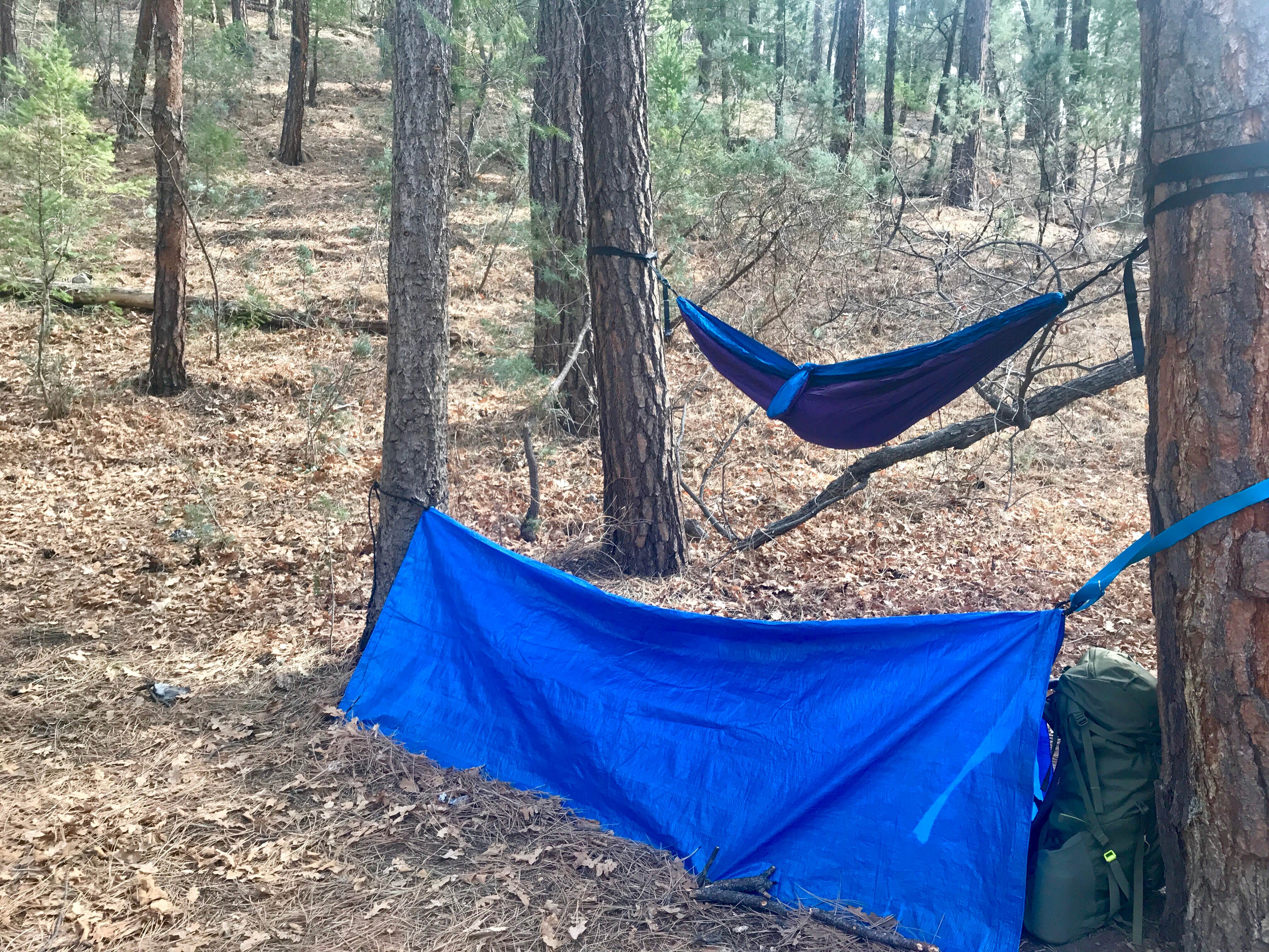 Camper submitted image from Payson Campground & RV Resort - 4