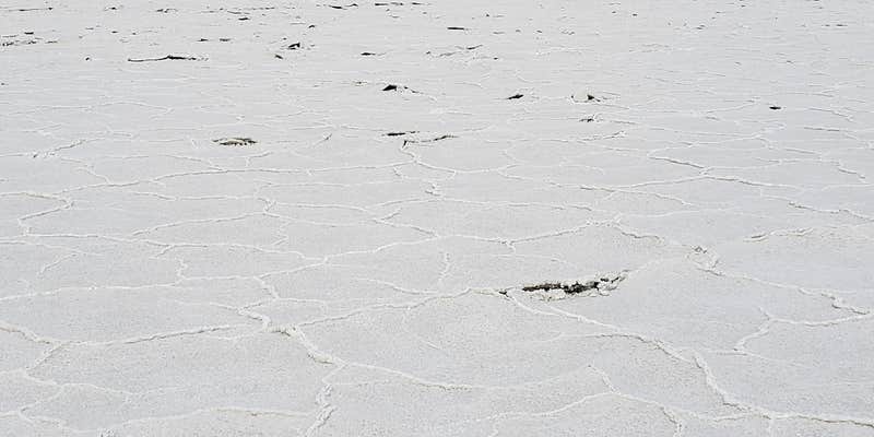 Camper submitted image from Lost Boys Peak Campsite