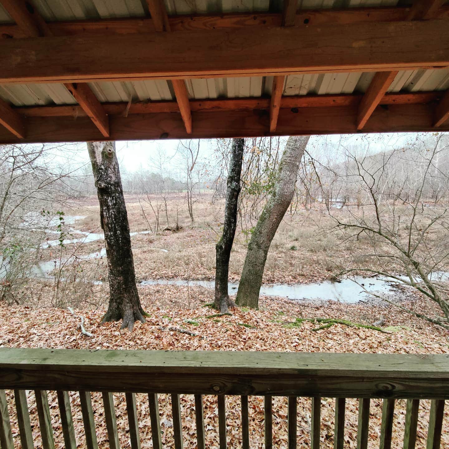 Camper-submitted photo at Lock and Dam / Coosa River County Park near Cave Spring, GA