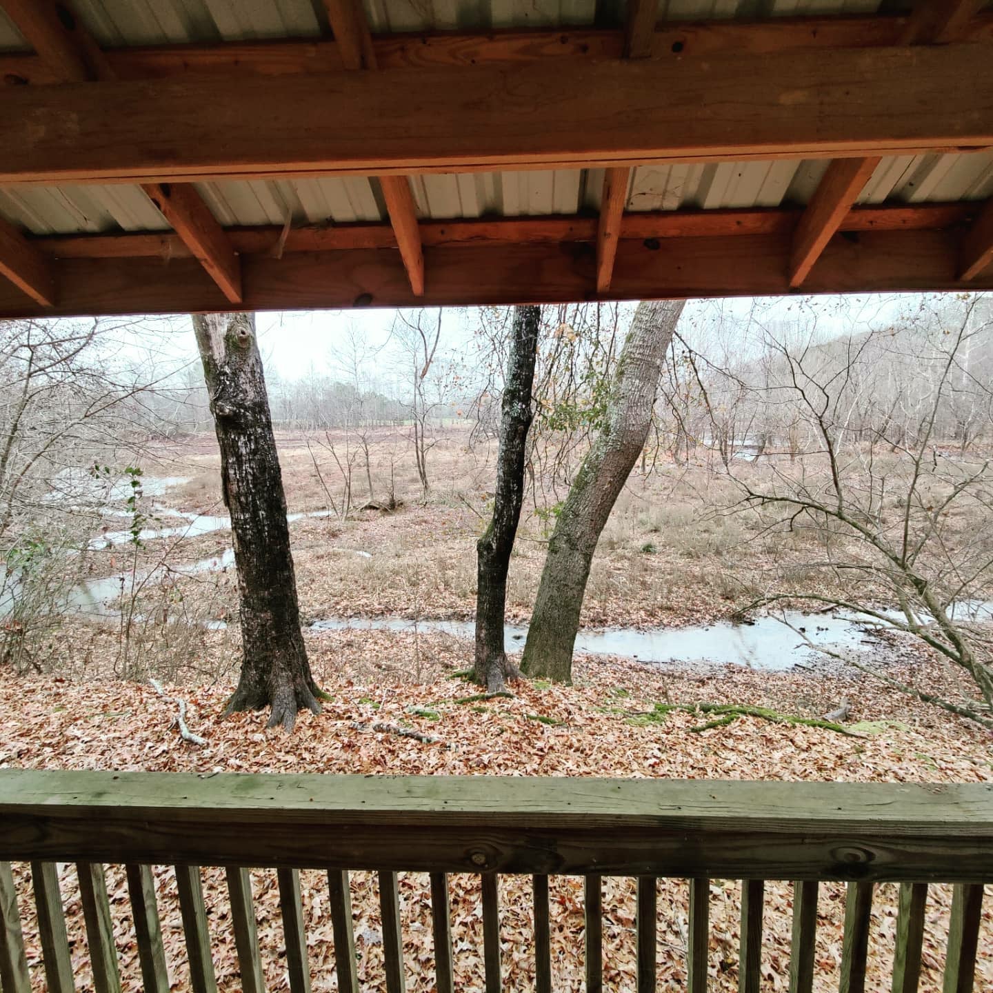 Camper submitted image from Lock and Dam / Coosa River County Park - 4