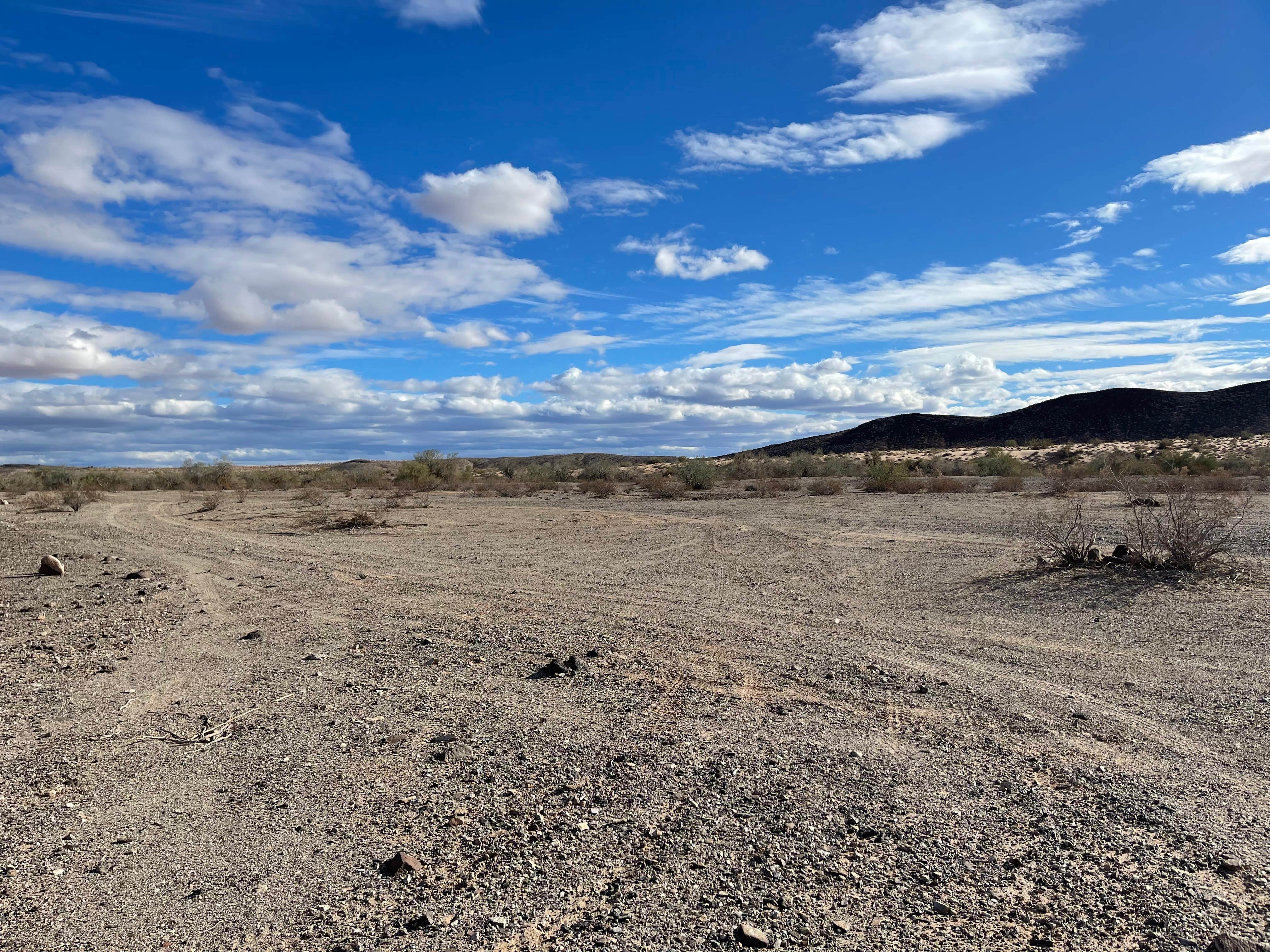 Camper submitted image from Shea Road BLM Dispersed - 2