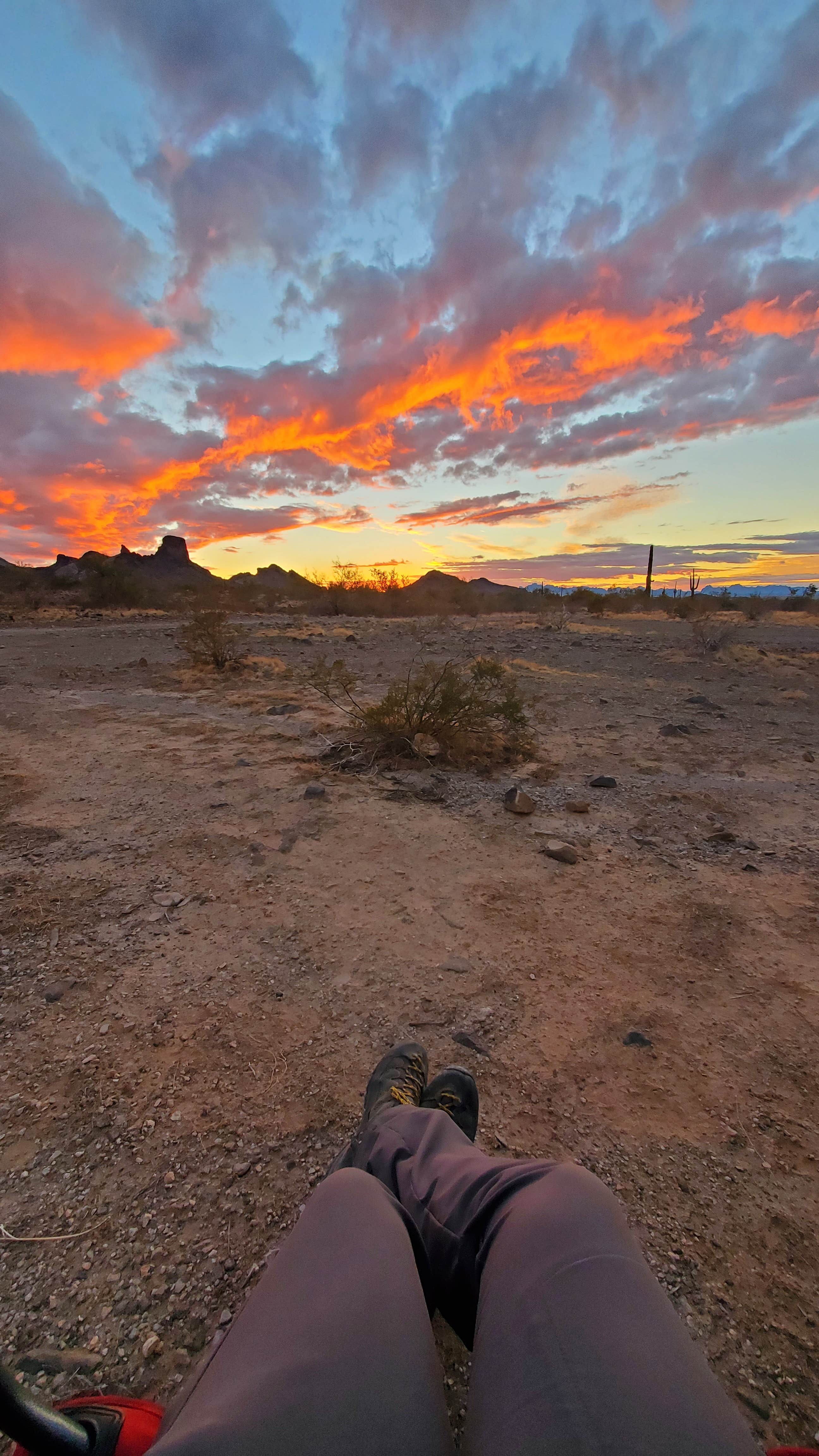 Camper submitted image from Saddle Mountain BLM (Tonopah, AZ) - 4