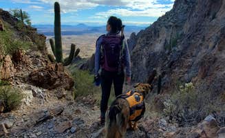 Connor N.'s photo of camping with pets at Saddle Mountain BLM (Tonopah, AZ) near Buckeye, AZ