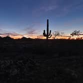 Review photo of Saddle Mountain BLM (Tonopah, AZ) by Connor N., December 31, 2021