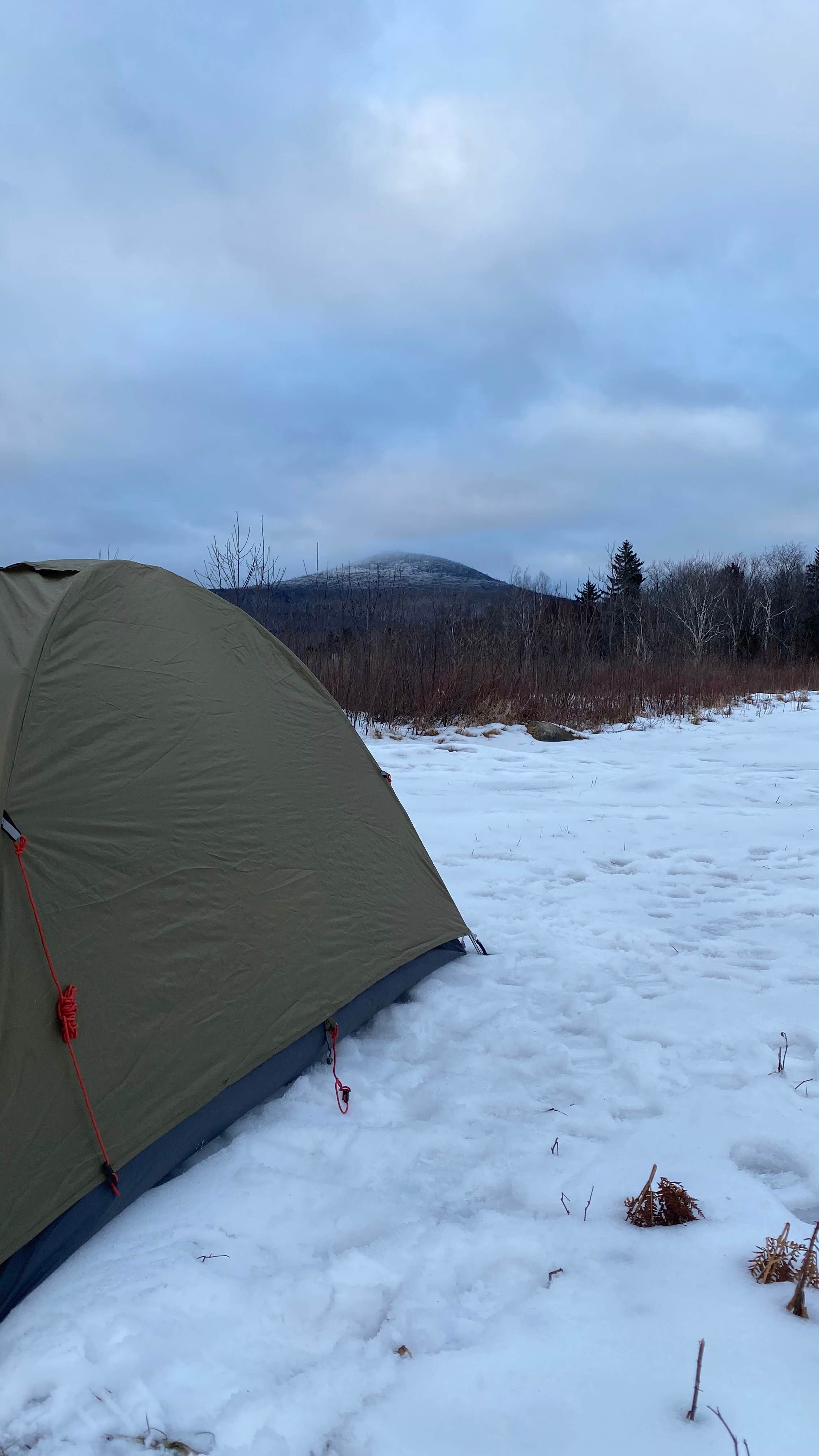 Erik C.'s photo at Grout Pond Campground — Green Mountain & Finger Lakes National Forests near South Londonderry, VT