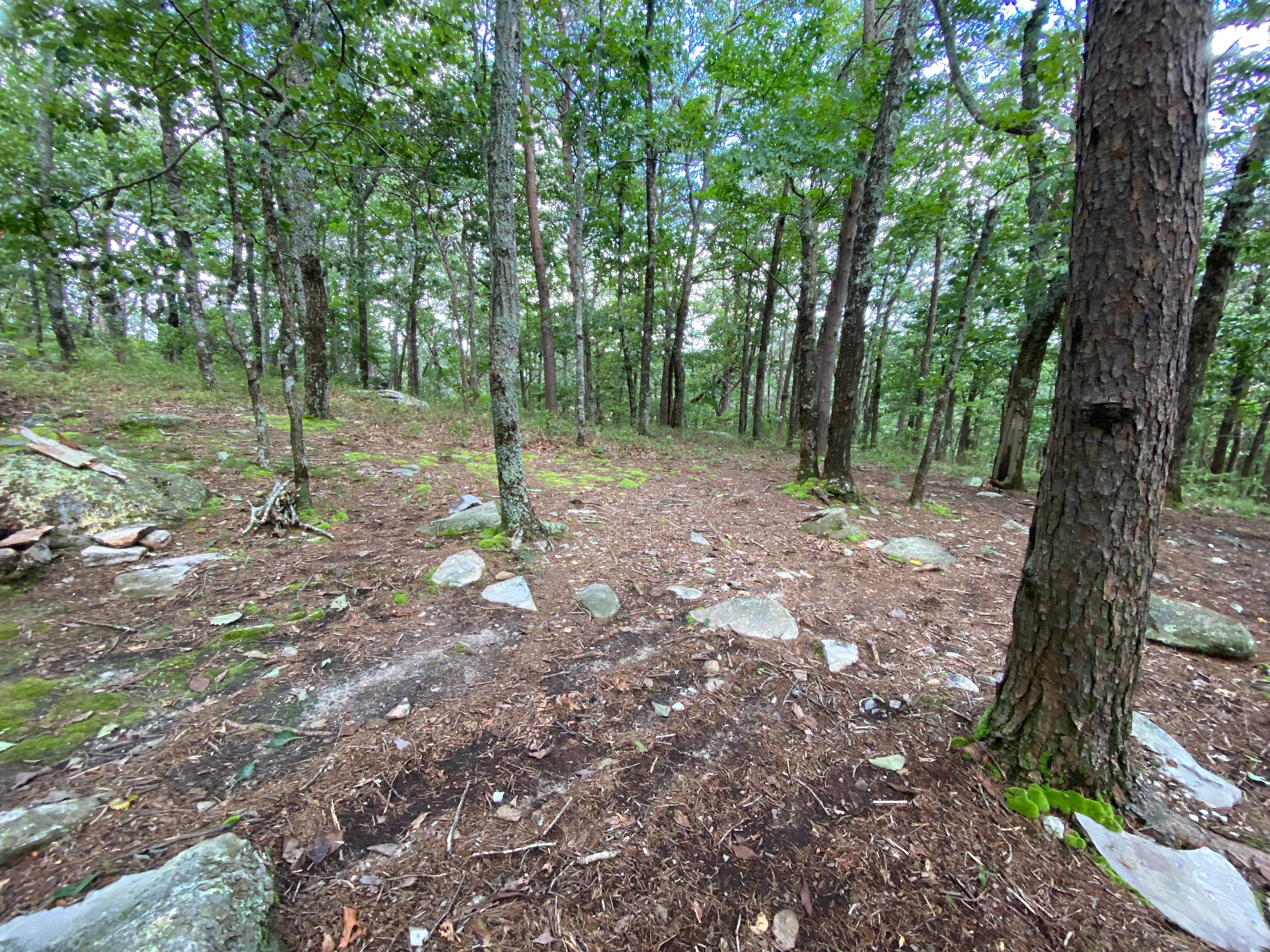 Camper-submitted photo at McDill Point Intersection — Cheaha State Park near Heflin, AL