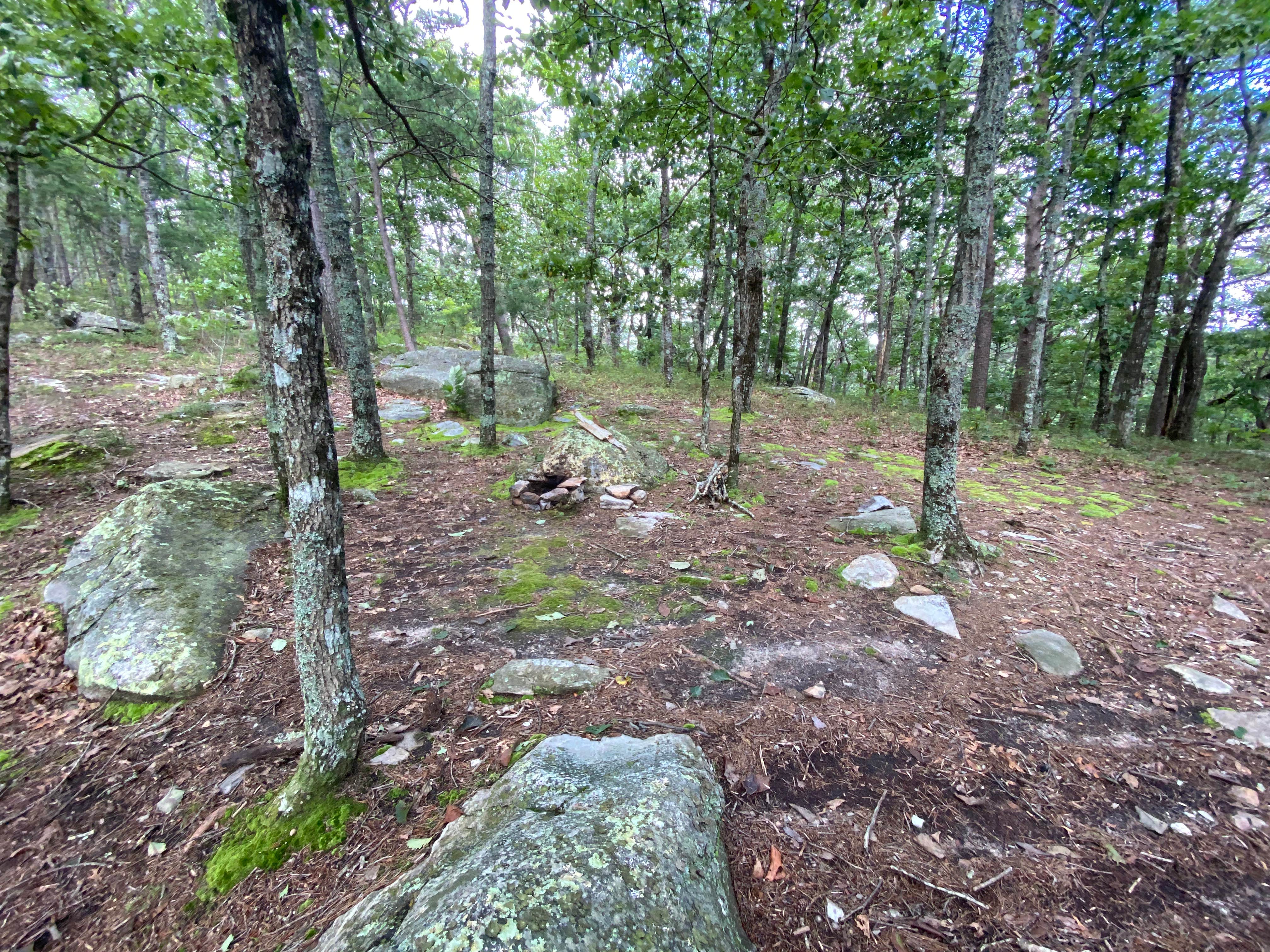 Camper-submitted photo at McDill Point Intersection — Cheaha State Park near Heflin, AL