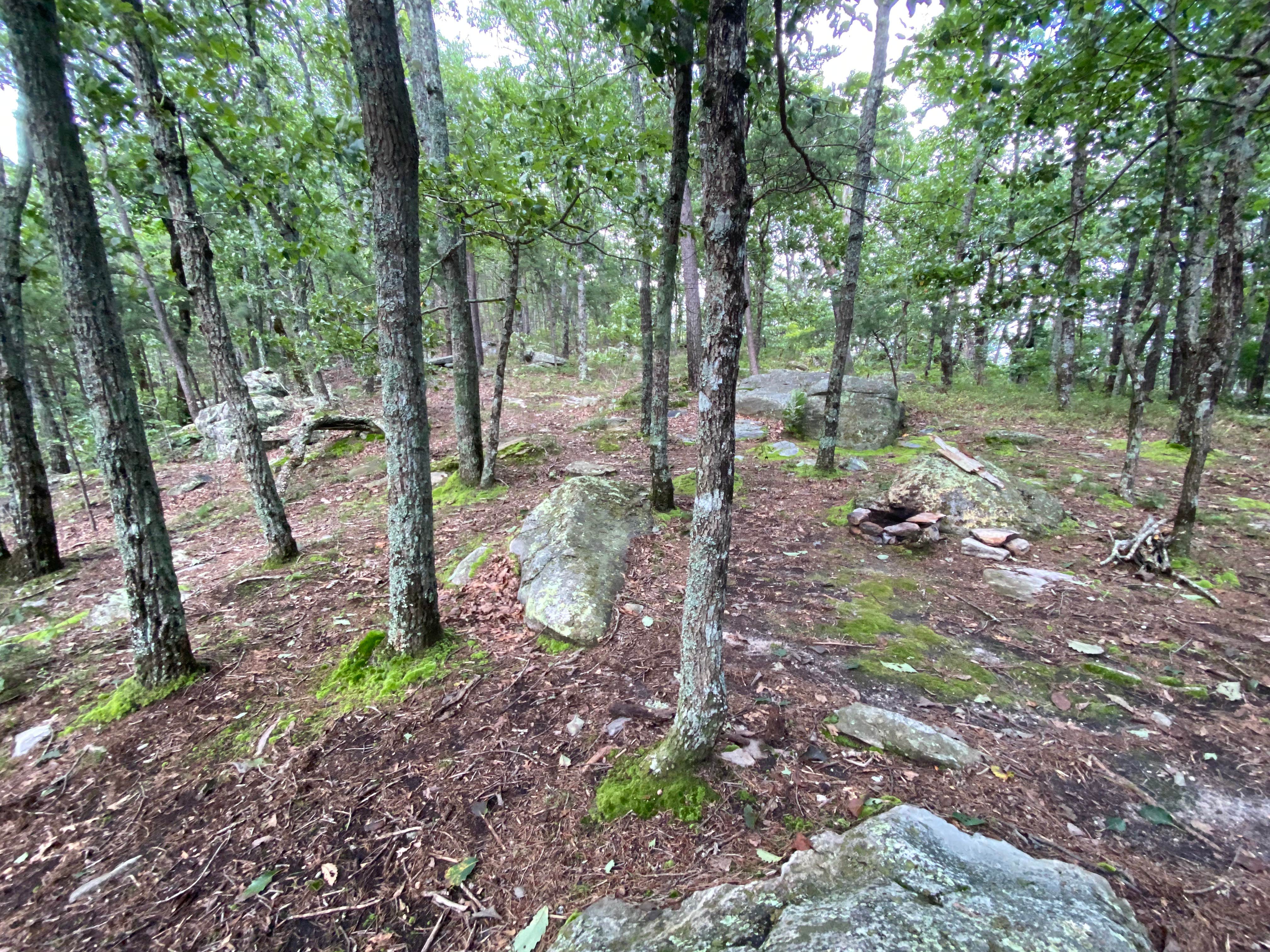 Camper-submitted photo at McDill Point Intersection — Cheaha State Park near Heflin, AL
