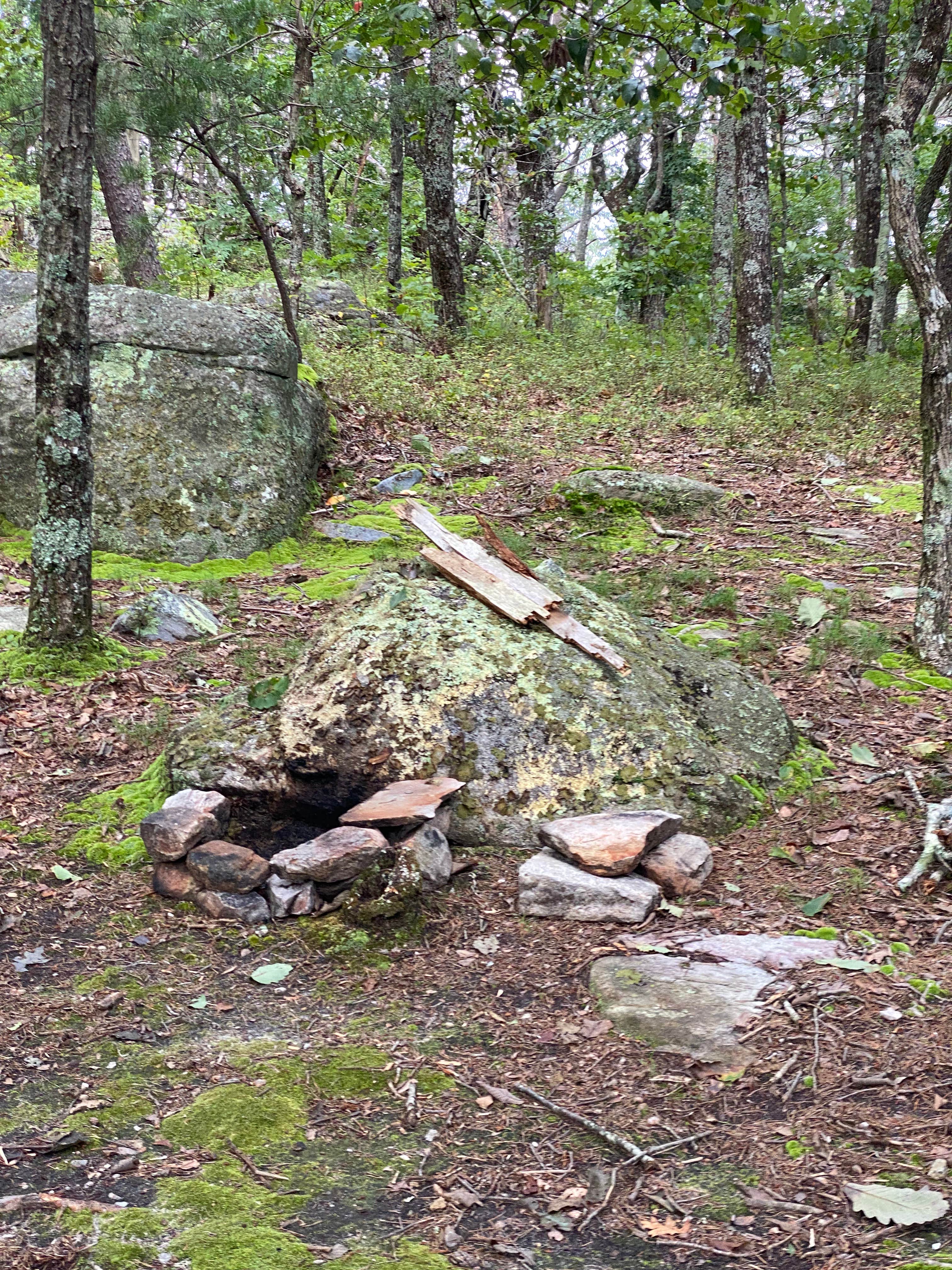 Camper-submitted photo at McDill Point Intersection — Cheaha State Park near Heflin, AL