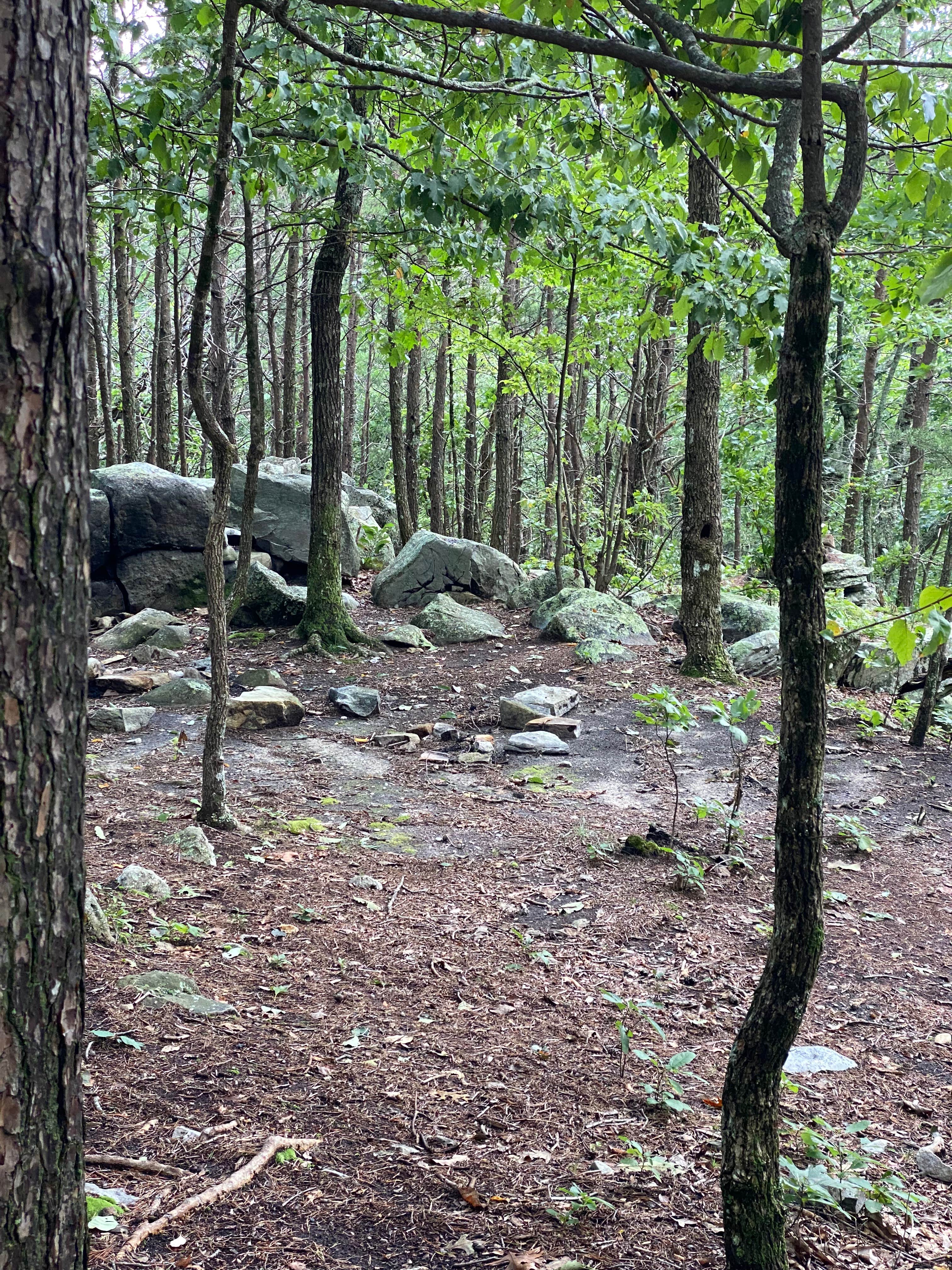 Camper-submitted photo at McDill Point Intersection — Cheaha State Park near Heflin, AL