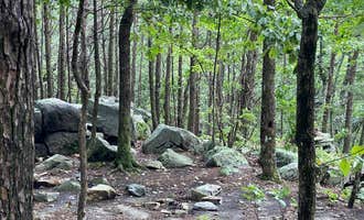 Camping near Pinhoti Trail Backcountry after passing McDill Point — Cheaha State Park: McDill Point Intersection — Cheaha State Park, Delta, Alabama