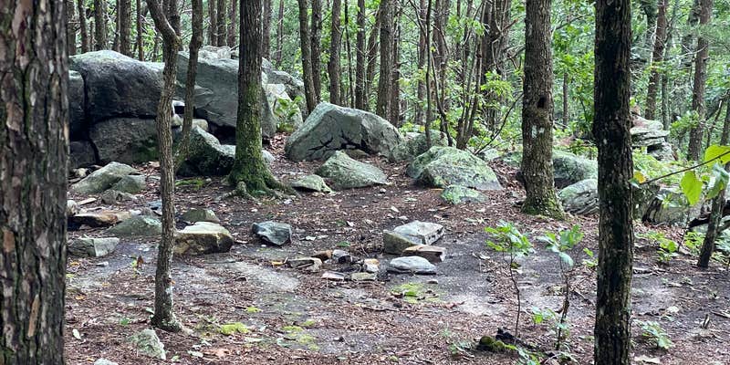 Camper submitted image from McDill Point Intersection — Cheaha State Park