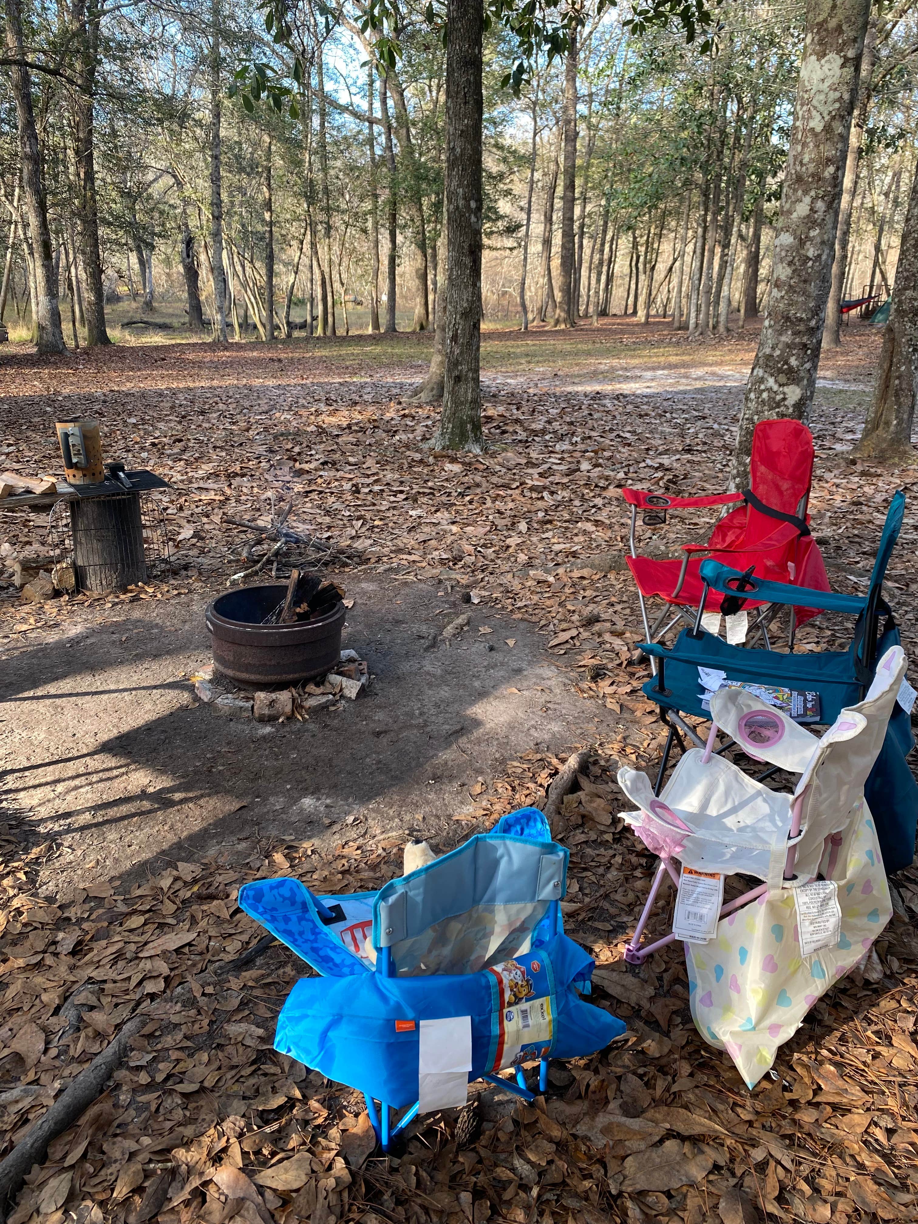 Camper submitted image from Deep Bend Landing - 2