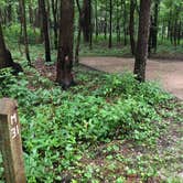 Review photo of Dunewood Campground — Indiana Dunes National Park by Lee D., December 31, 2021