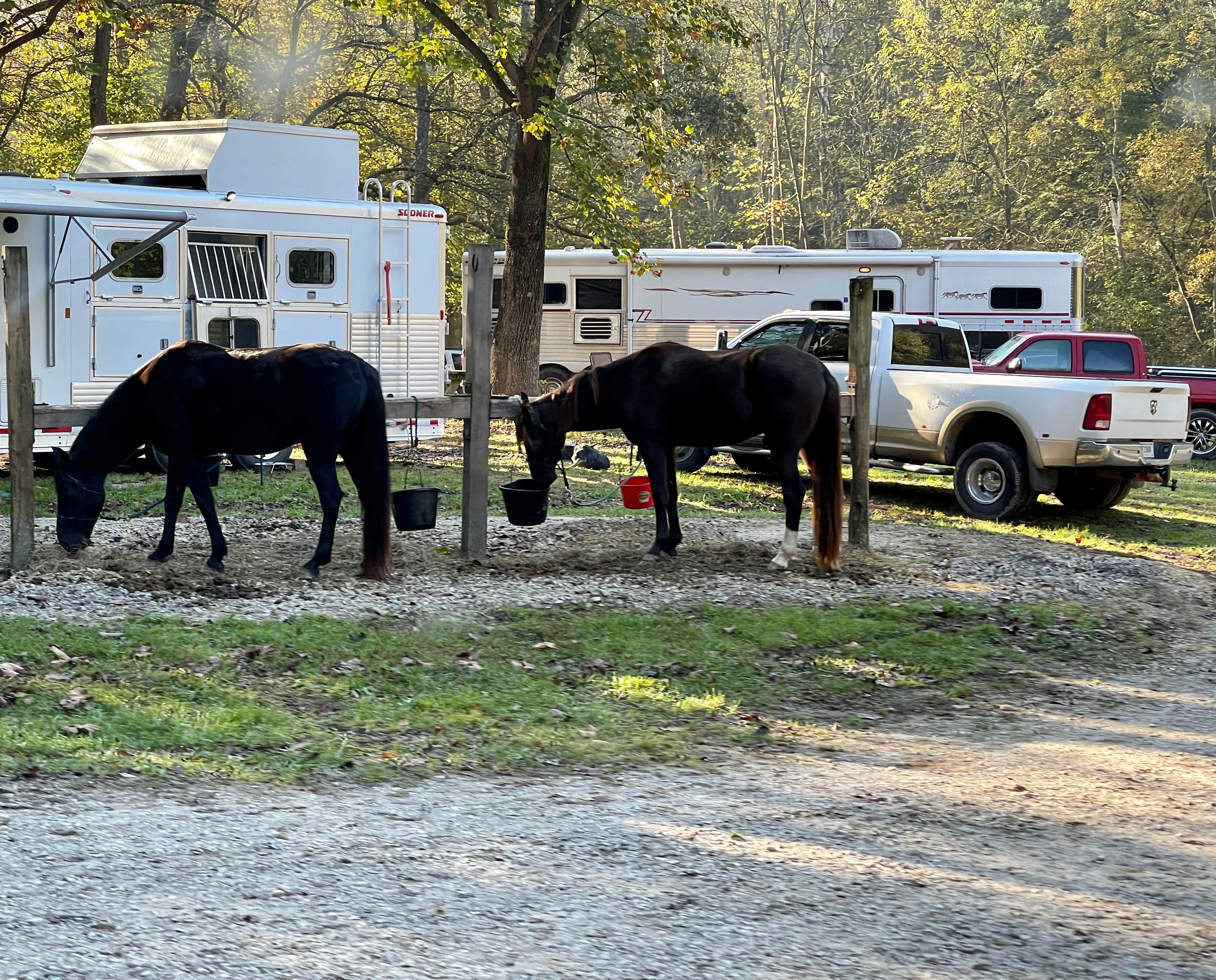 Lee D.'s photo of rv camping at Taylor Ridge Campground — Brown County State Park near Smithville, IN