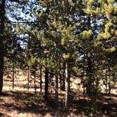Review photo of Porcupine Campground (WY) by N I., December 31, 2021