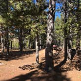 Review photo of Porcupine Campground (WY) by N I., December 31, 2021