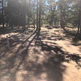 Review photo of Porcupine Campground (WY) by N I., December 31, 2021