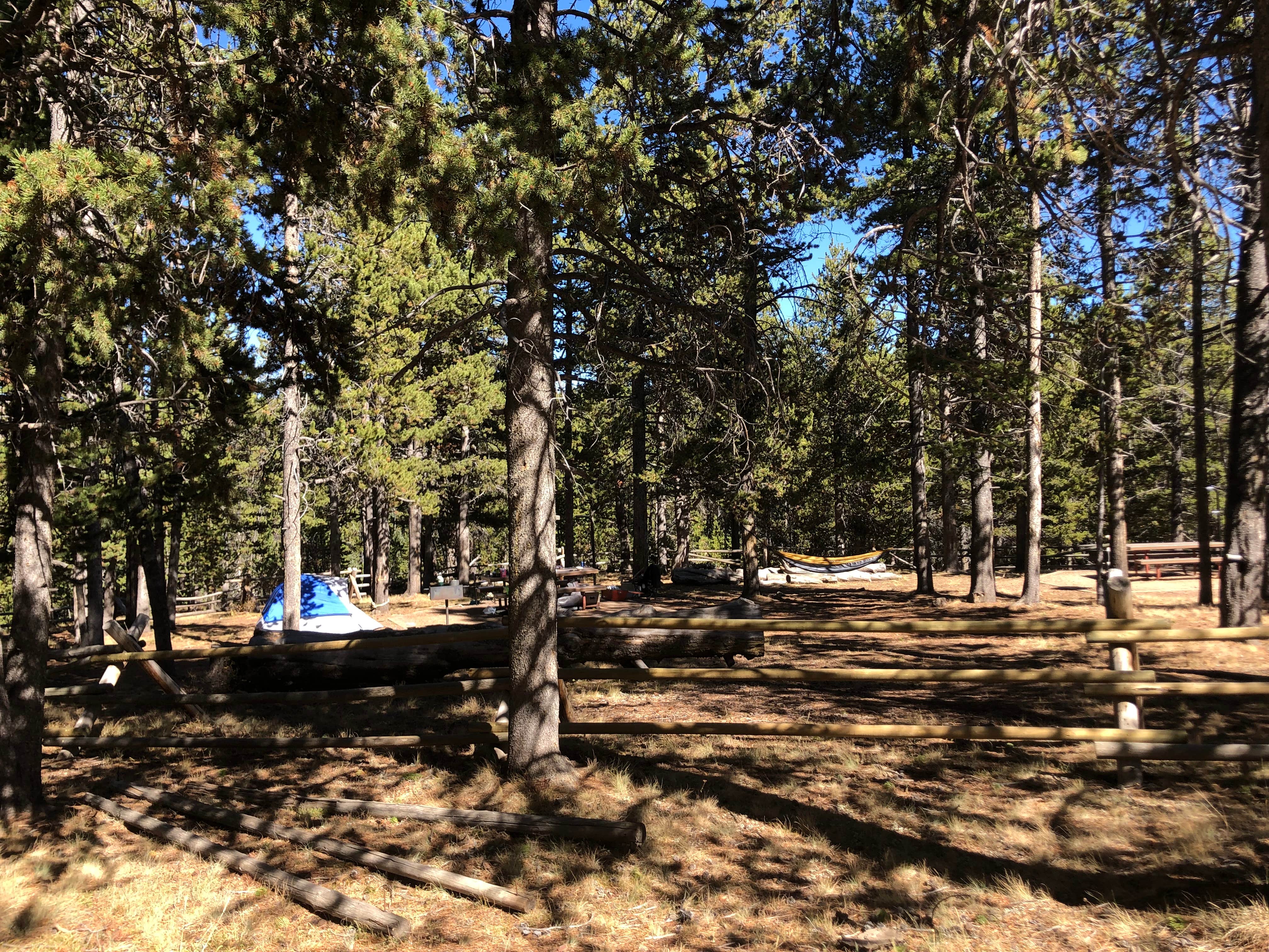 N I.'s photo at Porcupine Campground (WY) near Fort Smith, MT