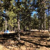 Review photo of Porcupine Campground (WY) by N I., December 31, 2021