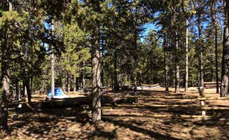 N I.'s photo at Porcupine Campground (WY) near Fort Smith, MT