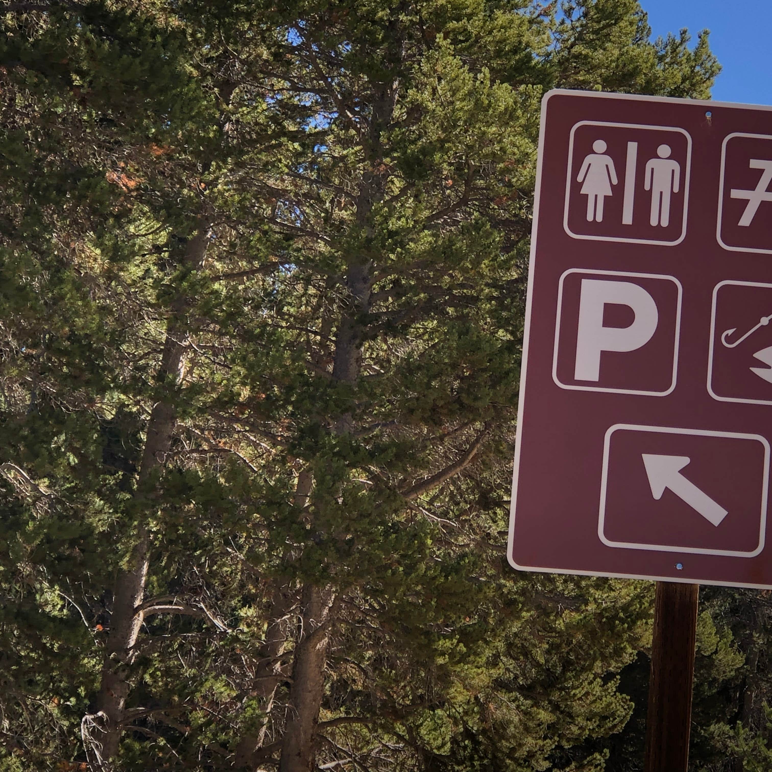 Bighorn National Forest Sibley Lake Campground Camping The Dyrt