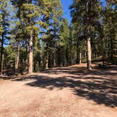 Review photo of Bighorn National Forest Sibley Lake Campground by N I., December 31, 2021