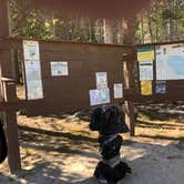 Review photo of Bighorn National Forest Sibley Lake Campground by N I., December 31, 2021