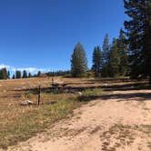 Review photo of Bald Mountain Campground by N I., December 31, 2021