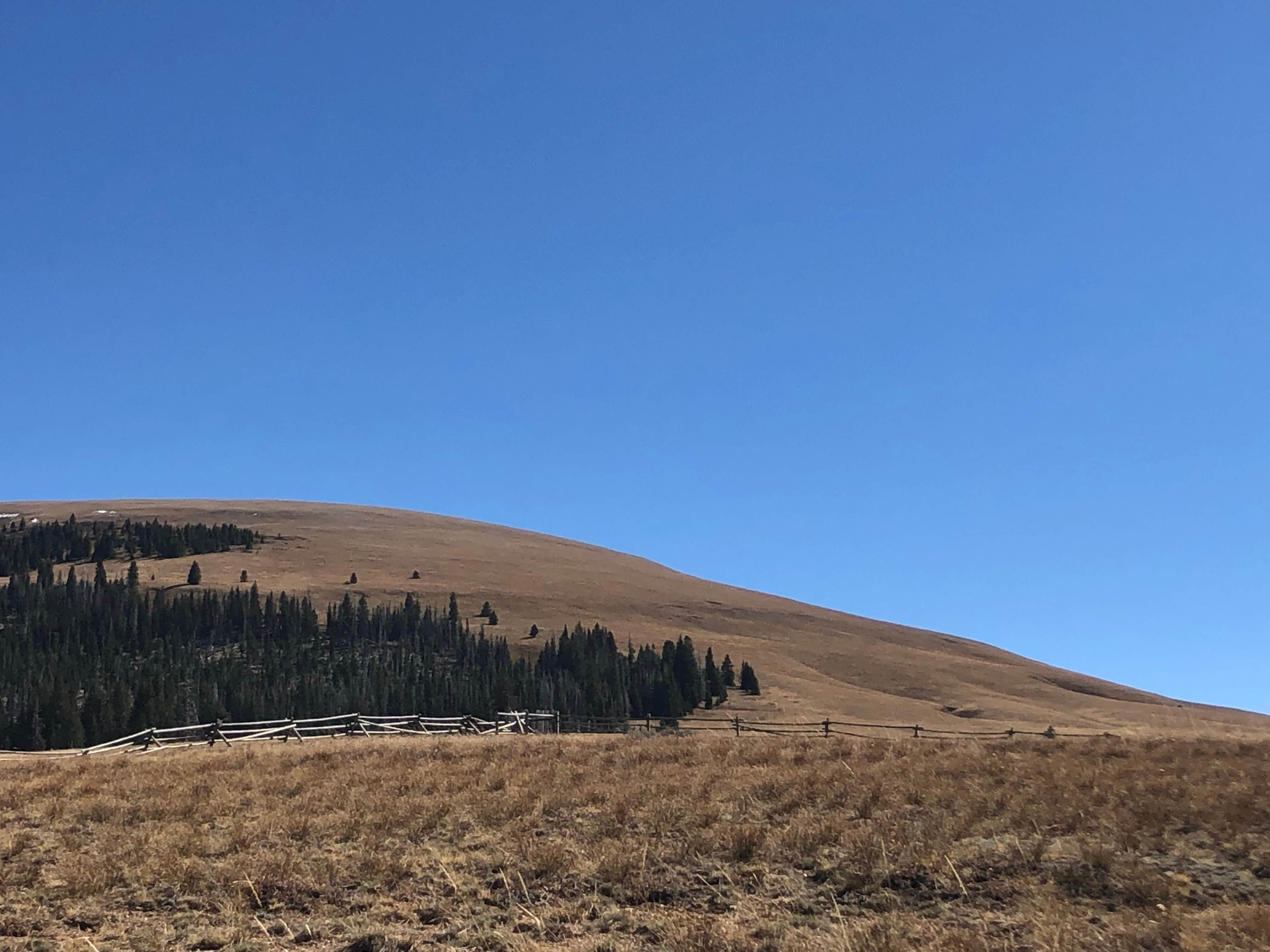 Camper-submitted photo at Bald Mountain Campground near Shell, WY