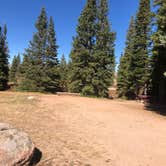 Review photo of Bald Mountain Campground by N I., December 31, 2021