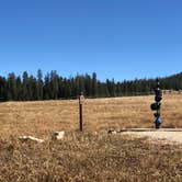 Review photo of Bald Mountain Campground by N I., December 31, 2021