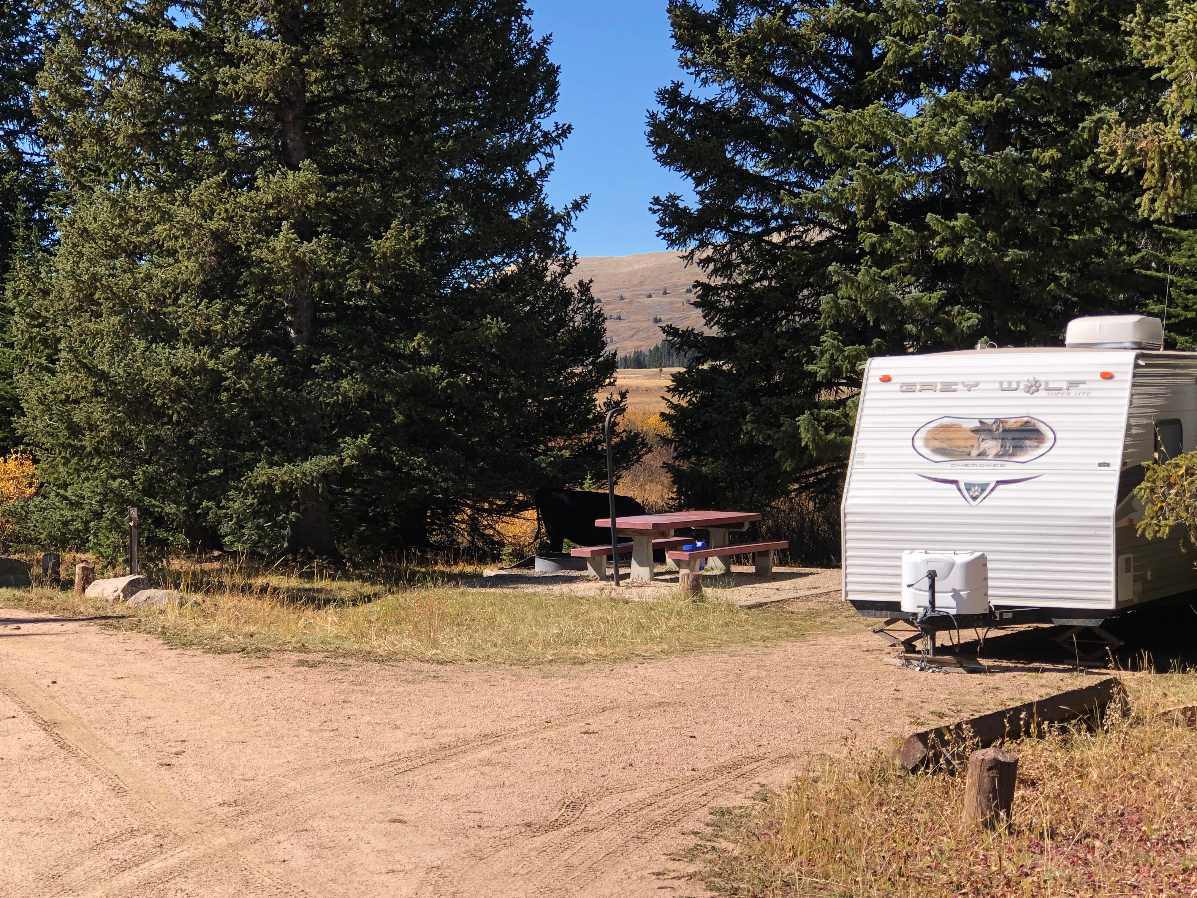 Camping near Campbells Green Oasis Campground: Bald Mountain Campground, Shell, Wyoming
