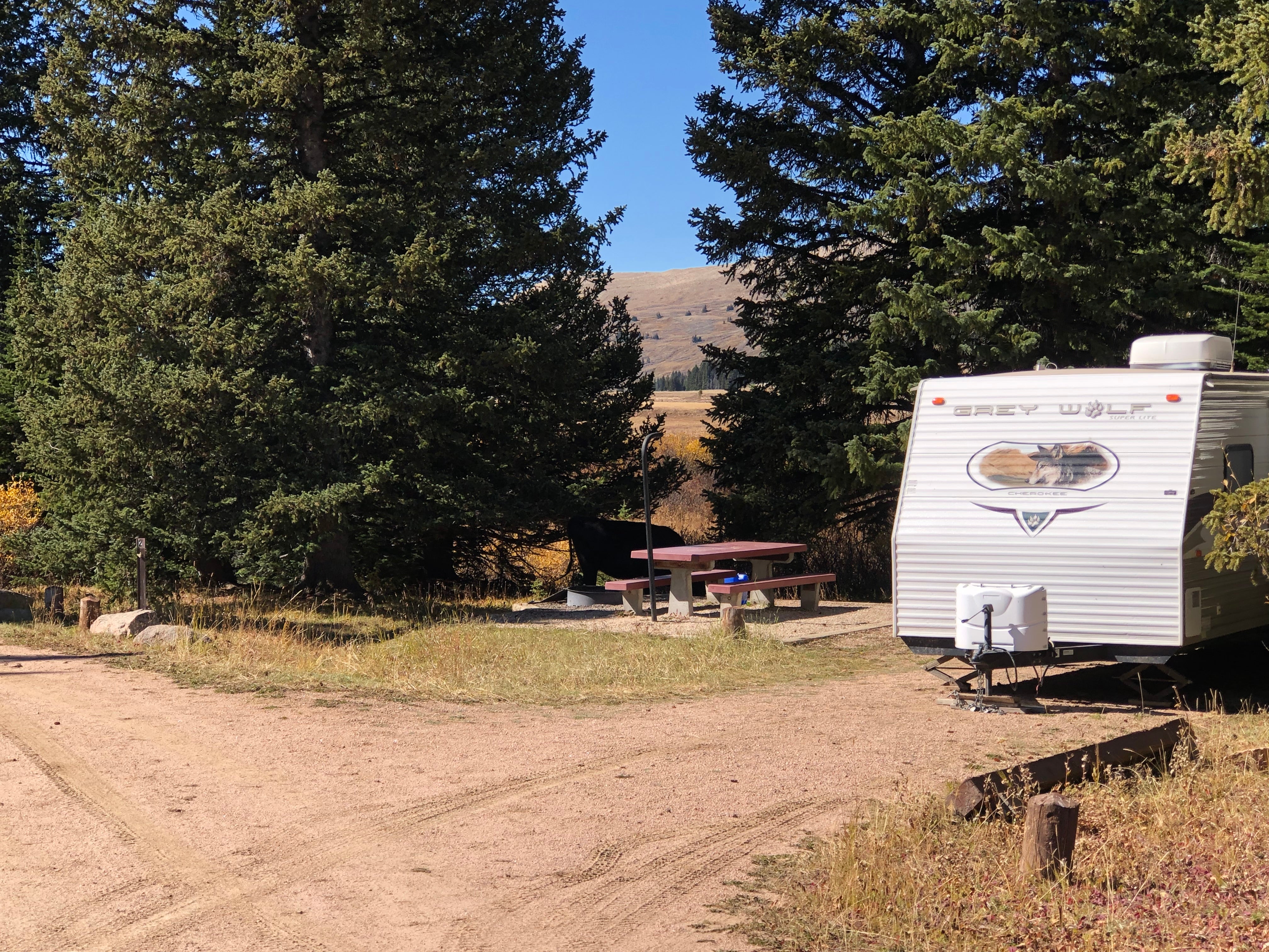 Camper submitted image from Bald Mountain Campground - 1