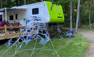 Camping near Silver Creek County Park: TriPonds Family Camp Resort, Allegan, Michigan
