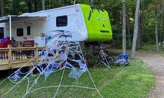 Camping near Ely Lake Campground: TriPonds Family Camp Resort, Allegan, Michigan