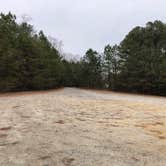 Review photo of Chickahominy WMA by N I., December 31, 2021