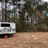 Review photo of Chickahominy WMA by N I., December 31, 2021