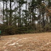 Review photo of Chickahominy WMA by N I., December 31, 2021
