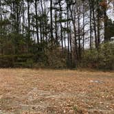 Review photo of Chickahominy WMA by N I., December 31, 2021